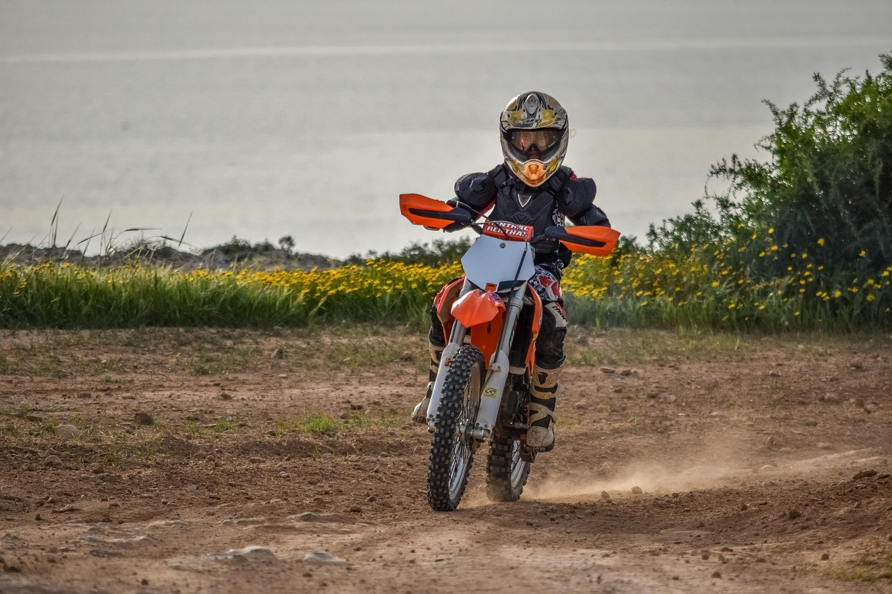 一汽大众dsg,零跑汽车6座suv最新款
